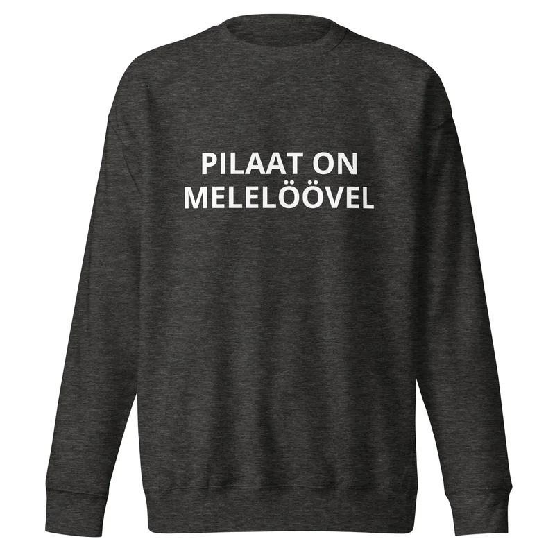 Pusa - PILAAT ON MELELÖÖVEL vaade 3