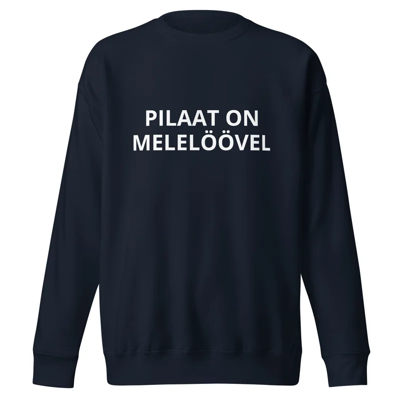 Pusa - PILAAT ON MELELÖÖVEL vaade 2