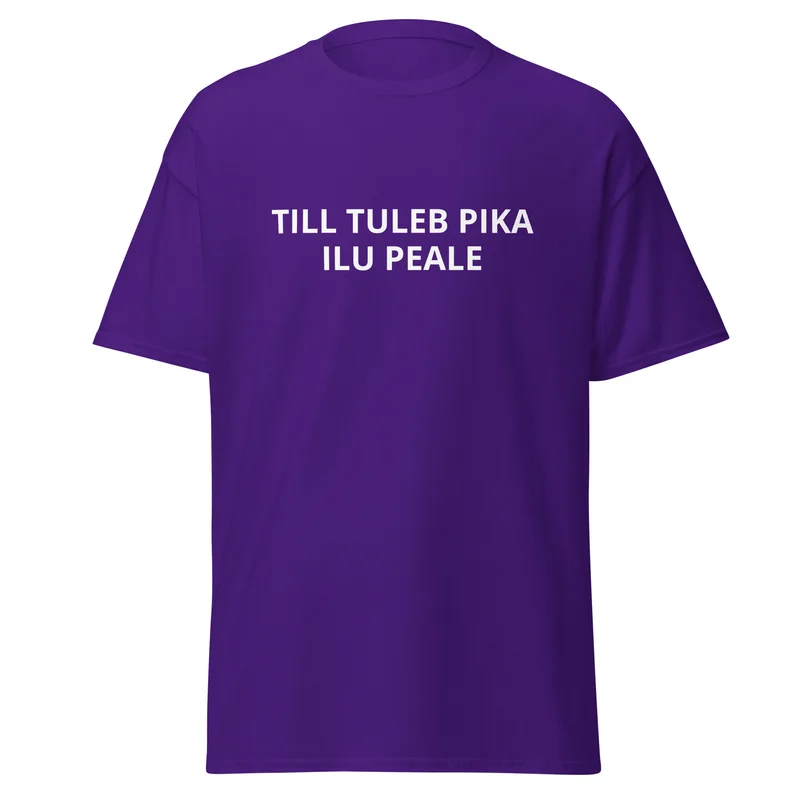T-särk - TILL TULEB PIKA ILU PEALE vaade 3