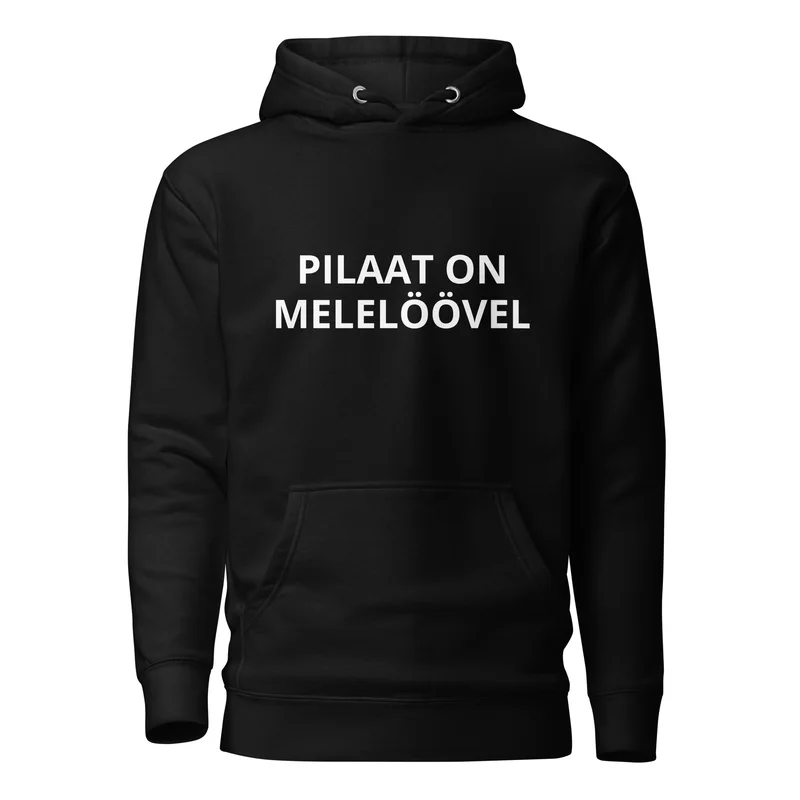 Kapuutsiga pusa - PILAAT ON MELELÖÖVEL — Hoodied
