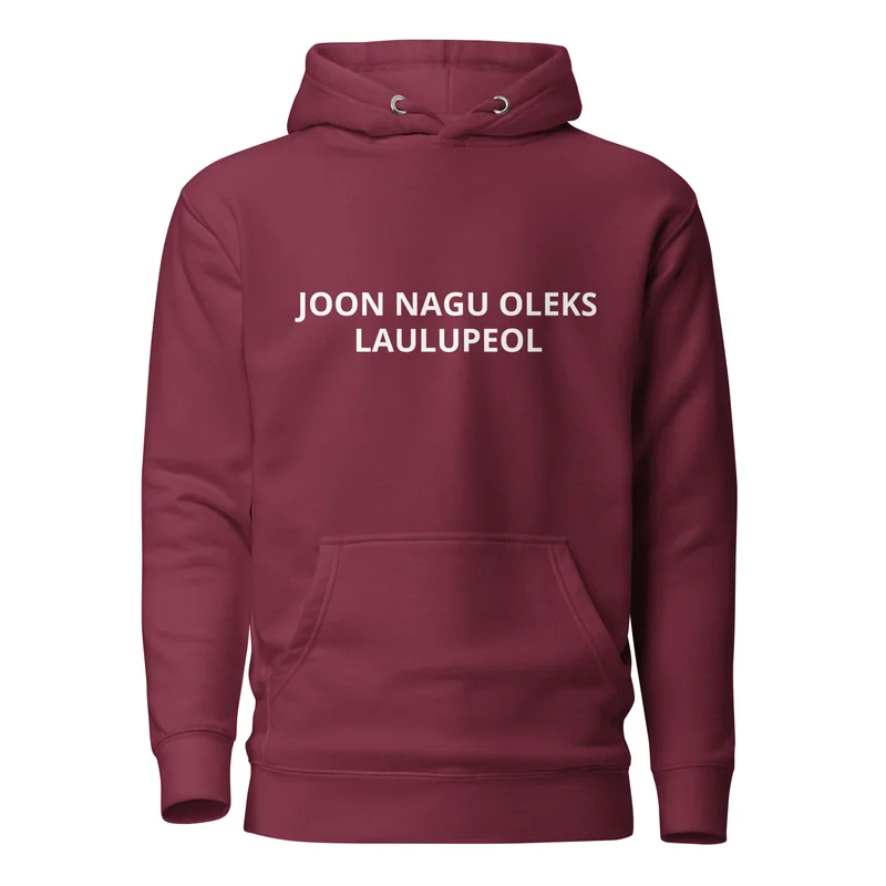 Kapuutsiga pusa - JOON NAGU OLEKS LAULUPEOL vaade 3