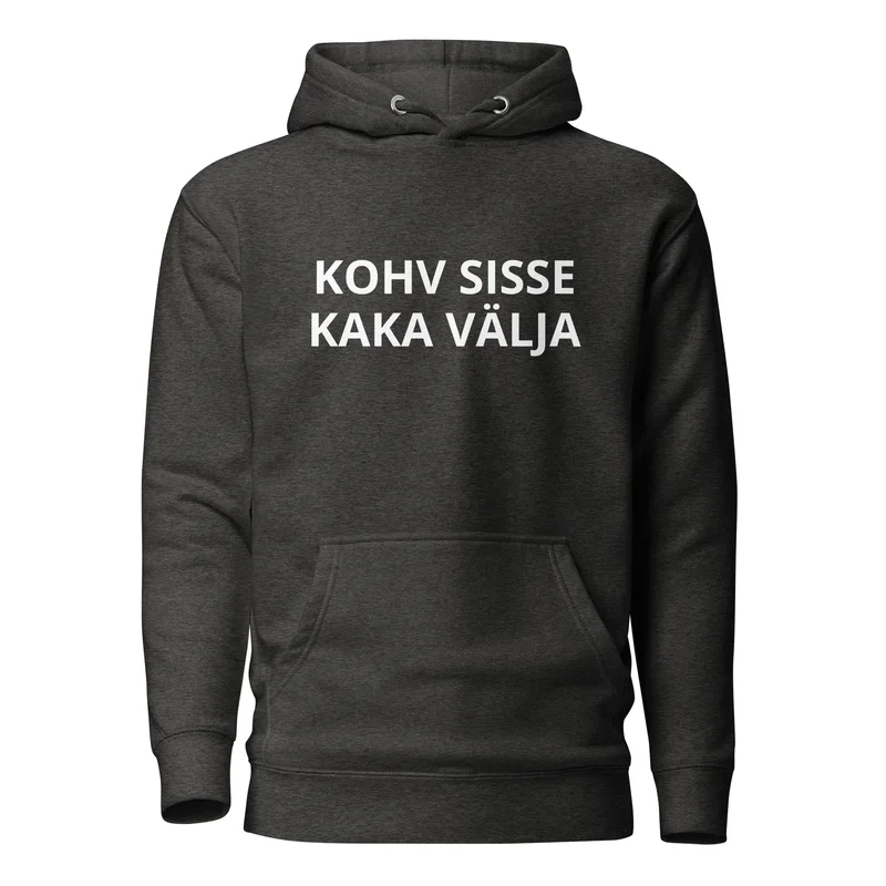 Kapuutsiga pusa - KOHV SISSE KAKA VÄLJA vaade 4