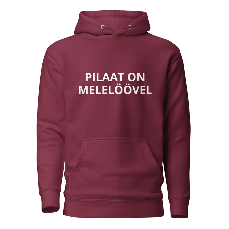 Kapuutsiga pusa - PILAAT ON MELELÖÖVEL vaade 3