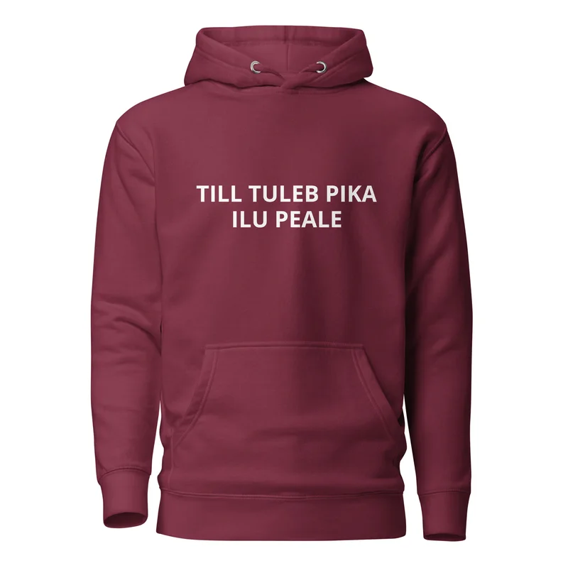Kapuutsiga pusa - TILL TULEB PIKA ILU PEALE vaade 3