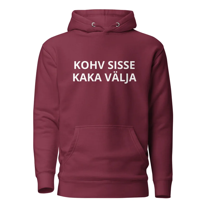 Kapuutsiga pusa - KOHV SISSE KAKA VÄLJA vaade 3