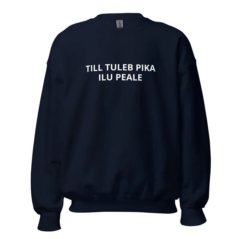 Pusa - TILL TULEB PIKA ILU PEALE vaade 2