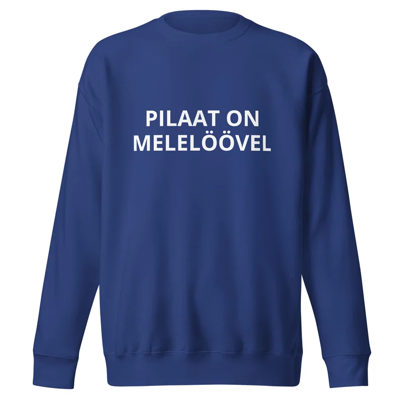 Pusa - PILAAT ON MELELÖÖVEL vaade 4