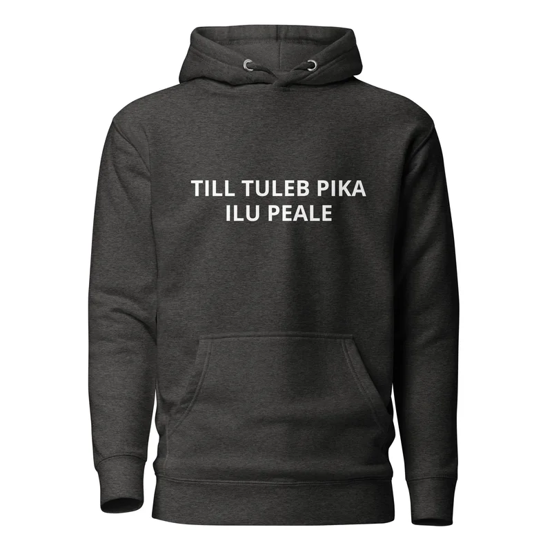 Kapuutsiga pusa - TILL TULEB PIKA ILU PEALE vaade 4