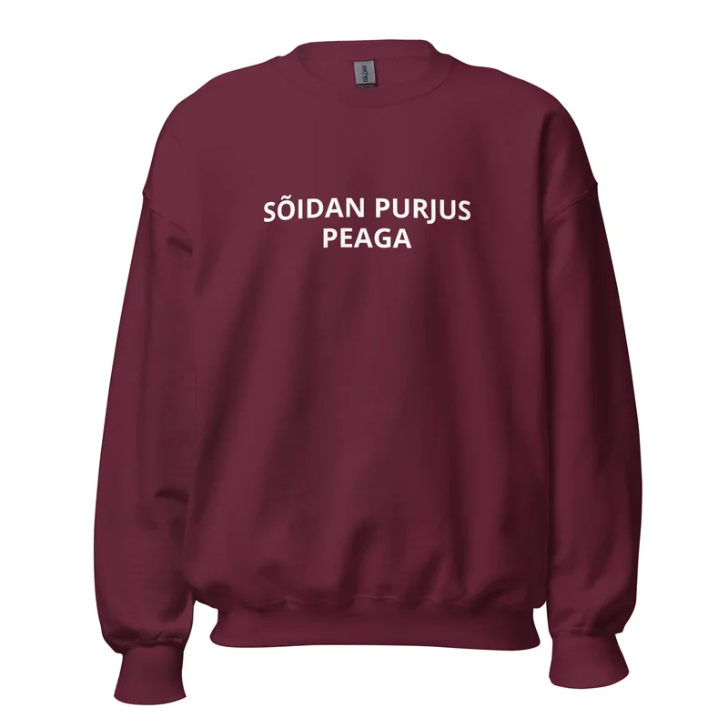 Pusa - SÕIDAN PURJUS PEAGA vaade 3