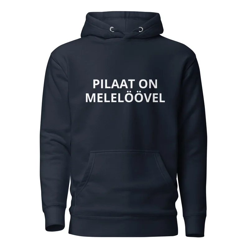 Kapuutsiga pusa - PILAAT ON MELELÖÖVEL vaade 2